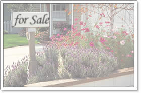 �D�y�s�D����D�k��D���΋�D�L����̔��p